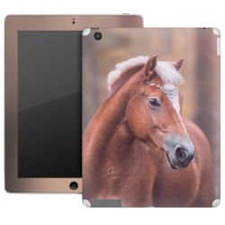 Foils for Tablets matt