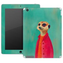 Foils for Tablets matt