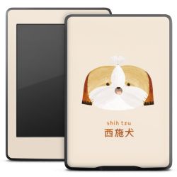 Foils for E-Readers matt