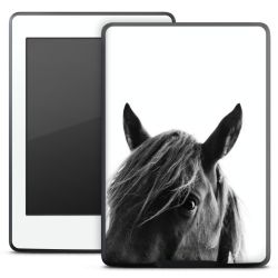 Foils for E-Readers matt