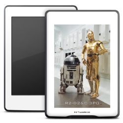 Foils for E-Readers matt