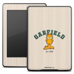 Foils for E-Readers matt