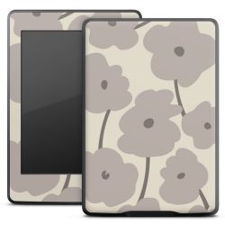 Foils for E-Readers matt
