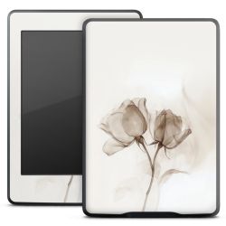 Foils for E-Readers matt