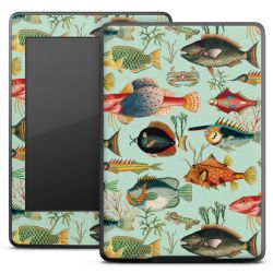 Foils for E-Readers matt