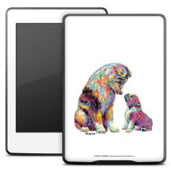 Foils for E-Readers matt