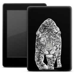 Foils for E-Readers matt