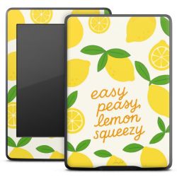 Foils for E-Readers matt