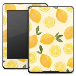 Foils for E-Readers matt