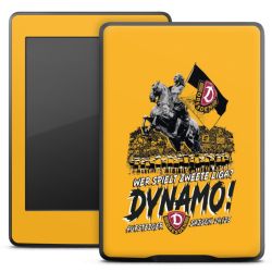 Folien für E-Reader matt