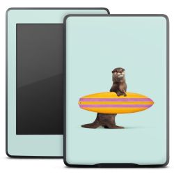 Foils for E-Readers matt