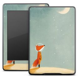 Foils for E-Readers matt