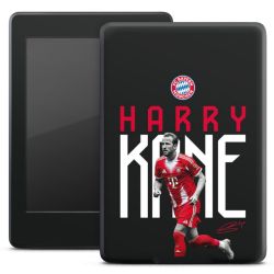 Foils for E-Readers matt