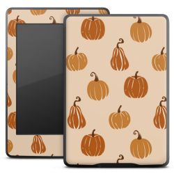 Foils for E-Readers matt