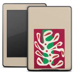 Folier E-boksläsare matt