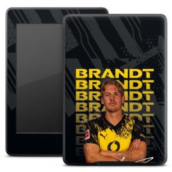 Foils for E-Readers matt