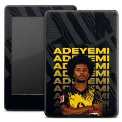 Foils for E-Readers matt