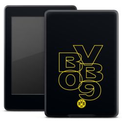 Foils for E-Readers matt