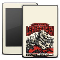 Folien für E-Reader matt