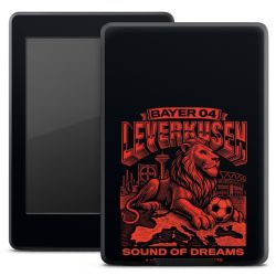 Folien für E-Reader matt