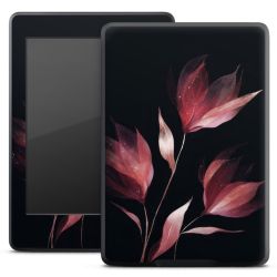 Foils for E-Readers matt