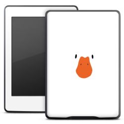 Foils for E-Readers matt