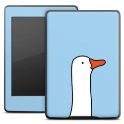 Foils for E-Readers matt