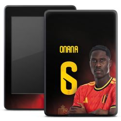 Foils for E-Readers matt