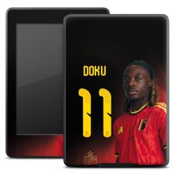 Foils for E-Readers matt