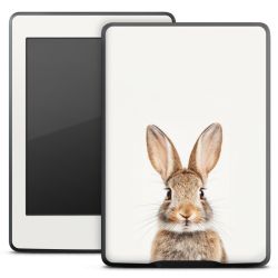 Foils for E-Readers matt