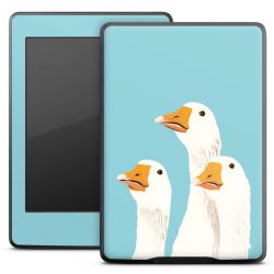 Foils for E-Readers matt