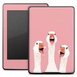 Foils for E-Readers matt