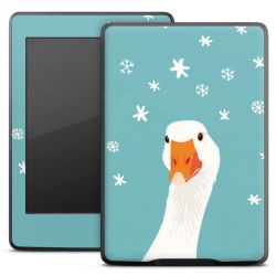 Foils for E-Readers matt