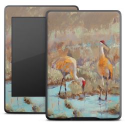 Foils for E-Readers matt