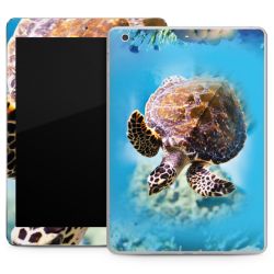 Foils for Tablets matt