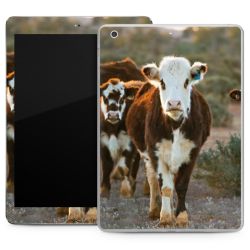 Foils for Tablets matt