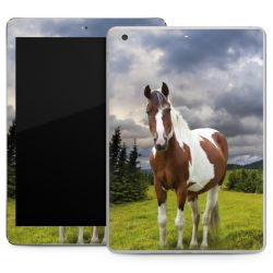 Foils for Tablets matt