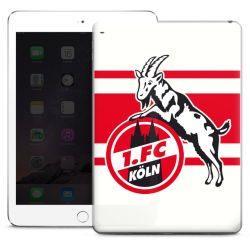 Folien für Tablets matt