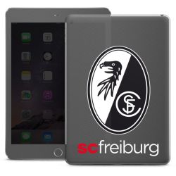 Folien für Tablets matt