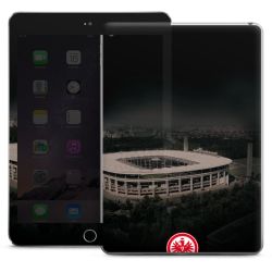 Folien für Tablets matt