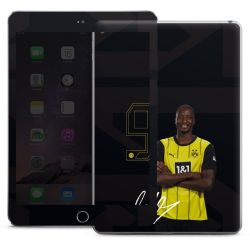 Foils for Tablets matt