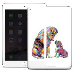 Foils for Tablets matt