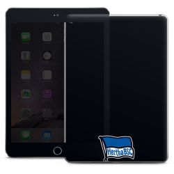 Folien für Tablets matt