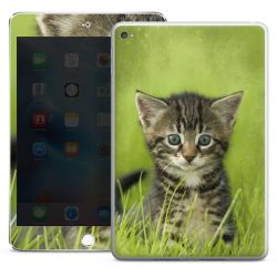 Foils for Tablets glossy