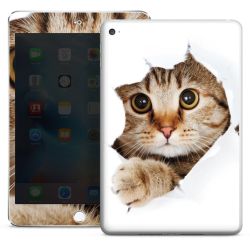 Foils for Tablets glossy