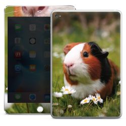 Foils for Tablets glossy