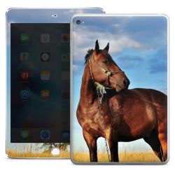 Foils for Tablets glossy