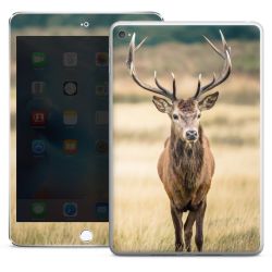 Foils for Tablets glossy