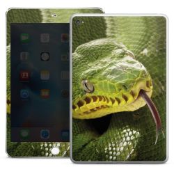 Foils for Tablets glossy