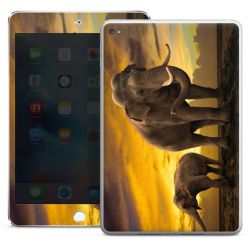 Foils for Tablets glossy